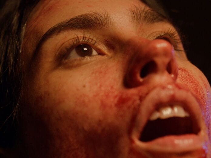 Continente é um terror distópico nacional