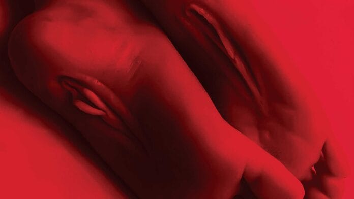 imagem de pôster do filme O Intruso de Bruce Labruce