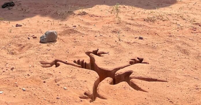 O live-action estreia em 2026 no Brasil