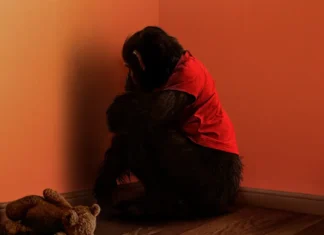 Trailer do novo terror “O Primata” apresenta tensão e fúria animal; assista! O filme de terror “O Primata” teve seu primeiro trailer oficial lançado