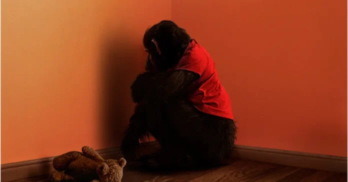 O filme de terror “O Primata” teve seu primeiro trailer oficial lançado